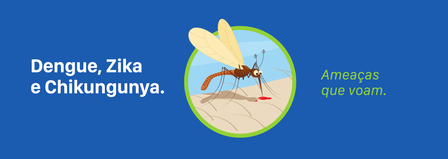 Cuidados contra o mosquito. Saiba como se proteger.